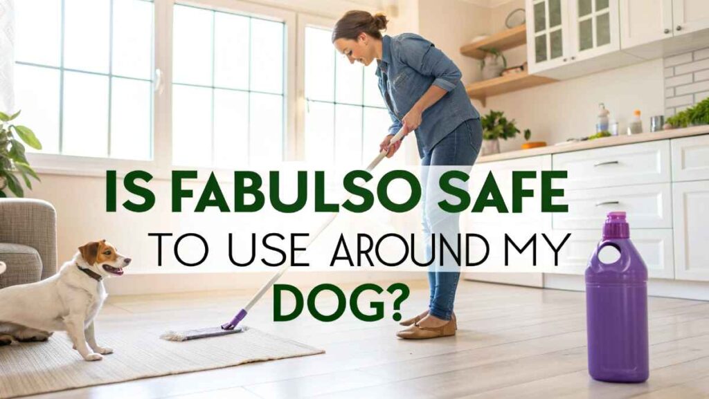 Is Fabuloso Safe To Use Around My Dog?