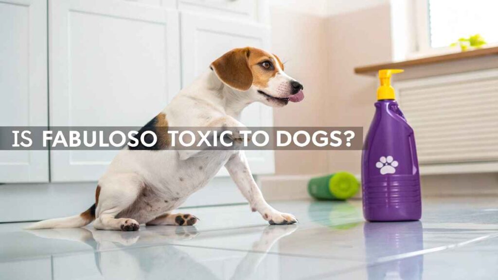 Is Fabuloso Toxic to Dogs?
