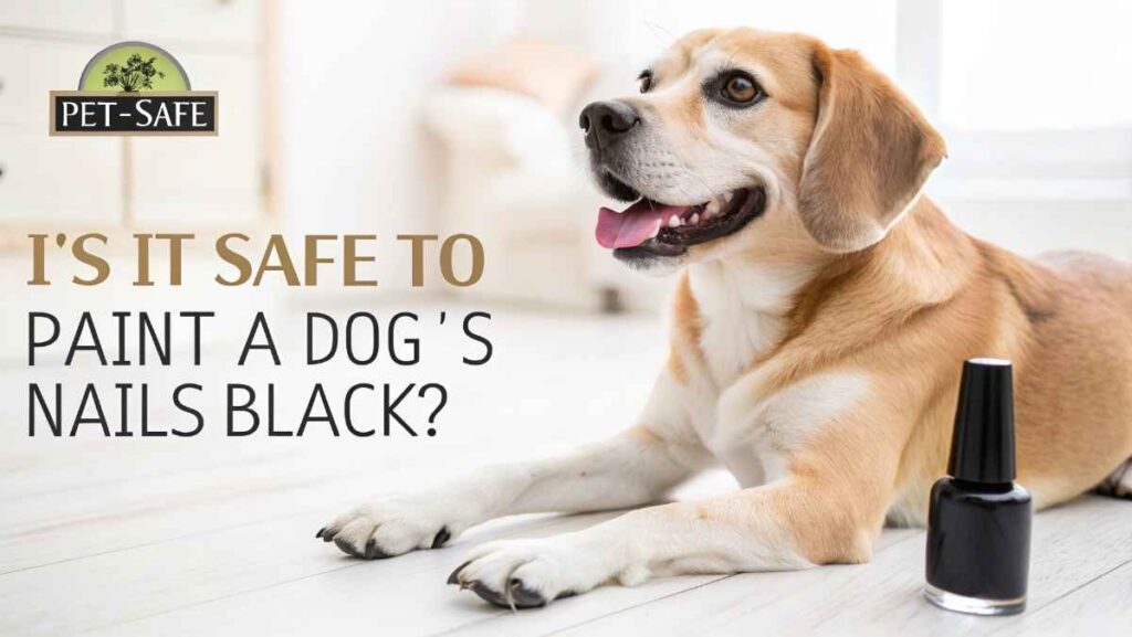 Is It Safe To Paint A Dog's Nails Black