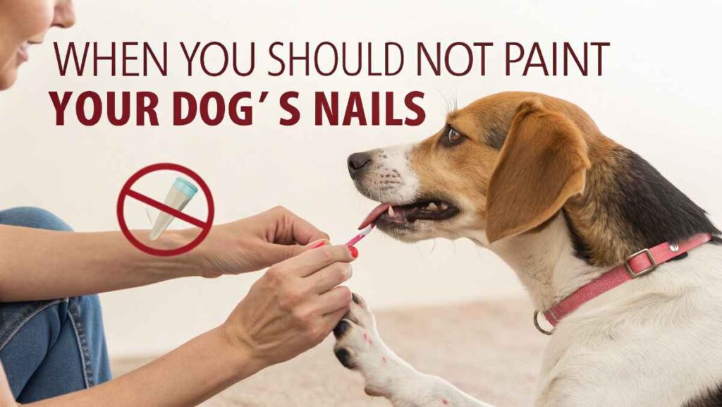 When You Should NOT Paint Your Dog’s Nails