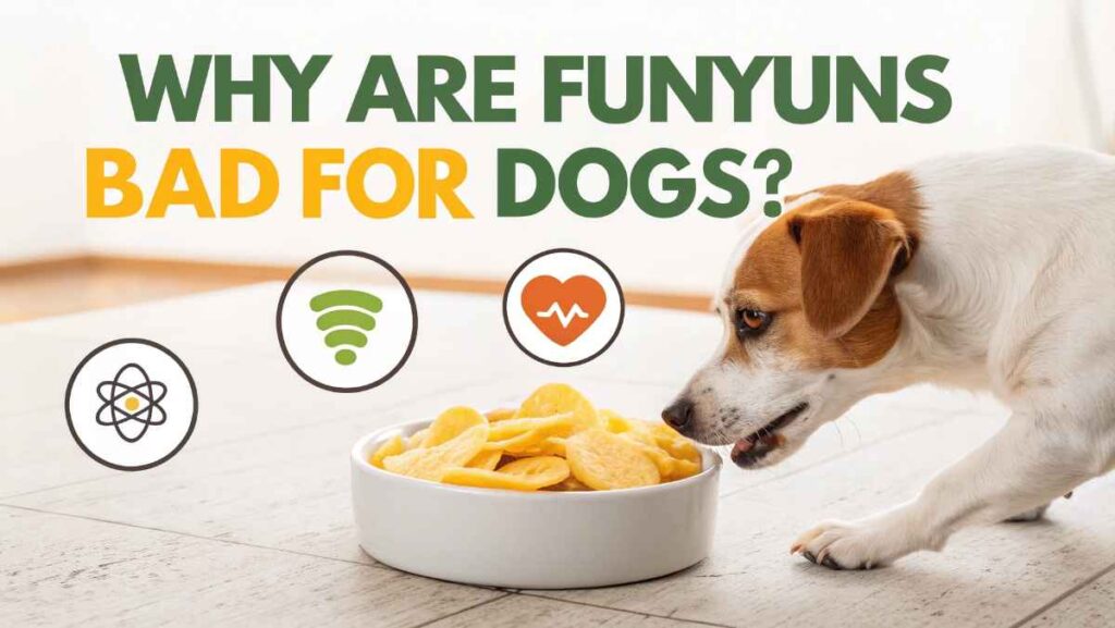 Why Are Funyuns Bad for Dogs?