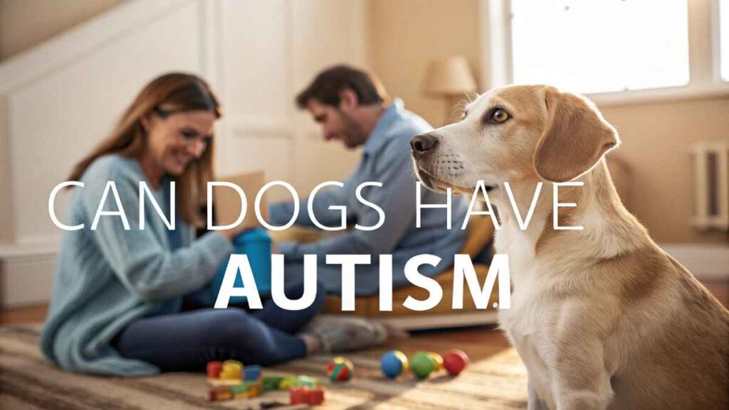 Can Dogs Have Autism
