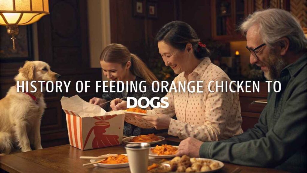 History of Feeding Orange Chicken to Dogs