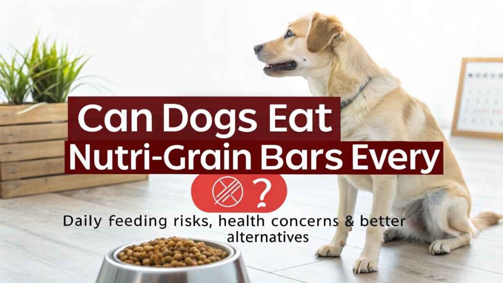 Can Dogs Eat Nutri-Grain Bars Every Day?