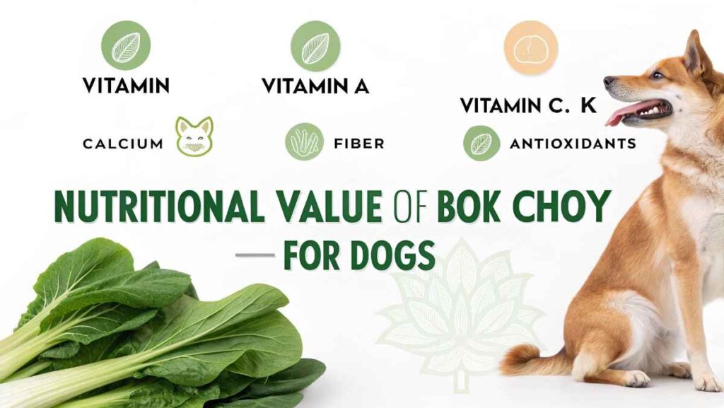 Nutritional Value of Bok Choy for Dogs