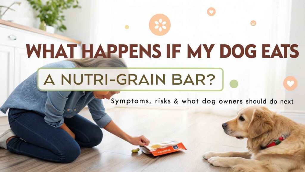 What Happens If My Dog Eats a Nutri-Grain Bar?